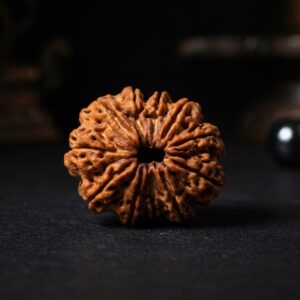 11 Mukhi Rudraksha - Gyarah Mukhi