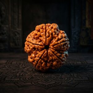 5 Mukhi Rudraksha - Panch Mukhi