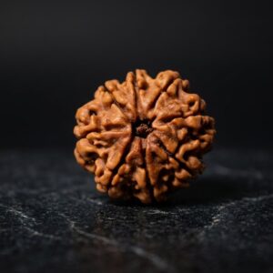 8 Mukhi Rudraksha - Aath Mukhi
