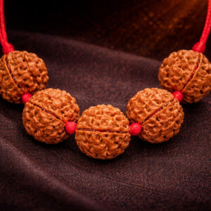AstroSafal Aarogya Rudraksha Mala