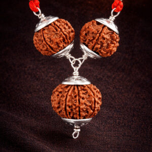 AstroSafal Rahu Ketu Shanti Rudraksha Mala