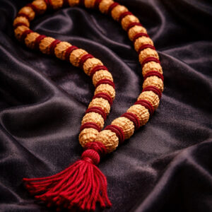 AstroSafal Shani Divya Rudraksha Mala